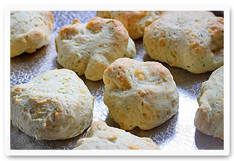 Cheddar Dill Biscuits